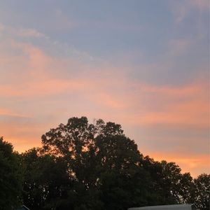 Meet your Posher, Delaney